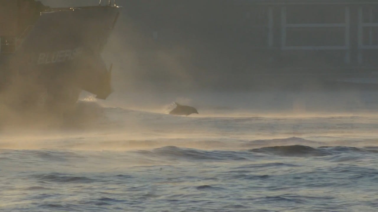 Foto - İstanbul Boğazı'nda gizemli görüntü! Görenler nedenini merak etti!