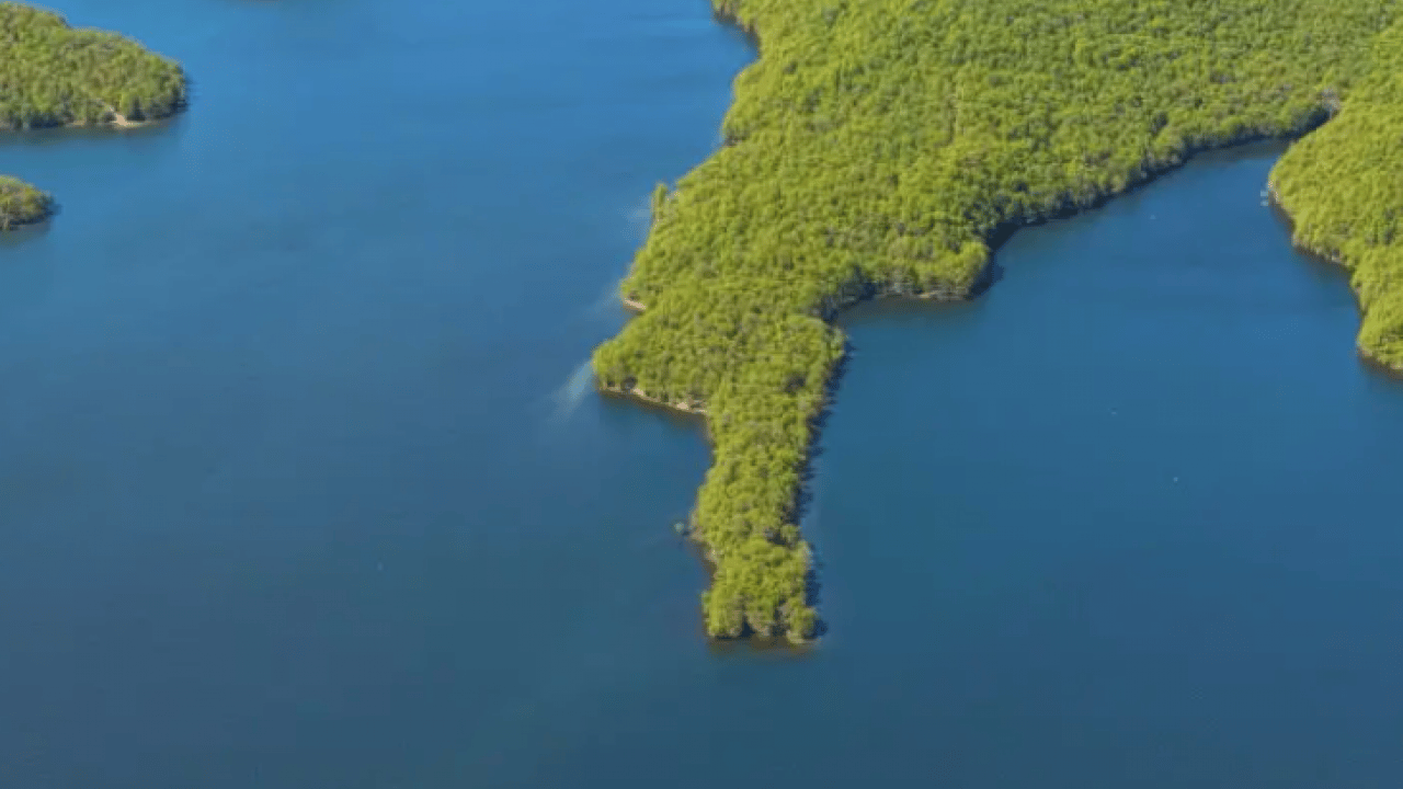 İstanbul için özlenen manzara! İstenen seviyeye ulaşıldı!
