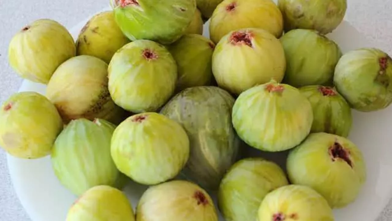 Foto - İstanbul Ortaköy'deki facianın ardından uzmanı uyardı! Sokaktan bunları yemeyin! Gıda zehirlenmesine sebep oluyor