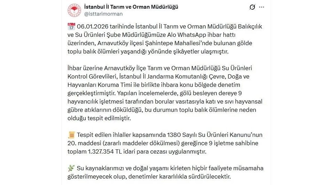 Foto - İstanbul sahillerinde korkutan manzara! Birer birer kıyıya vurdular