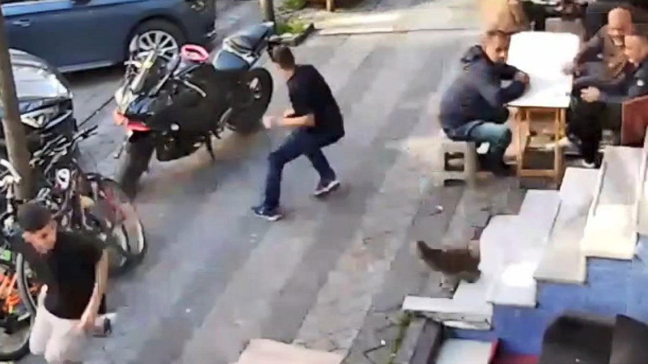 Foto - İstanbul'da bir kedi kuaför basıp müşterileri kovaladı