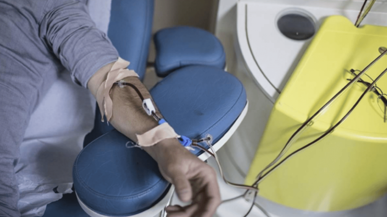 İstanbul'da hayata bağlayan rakam! Her gün 11 bin hasta diyaliz merkezlerine emanet 