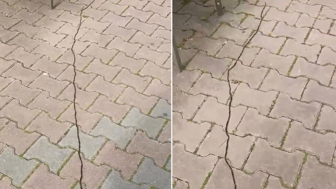 İstanbul’da kâbus başladı! Dokunanın dili çürüyor, sakın yaklaşmayın