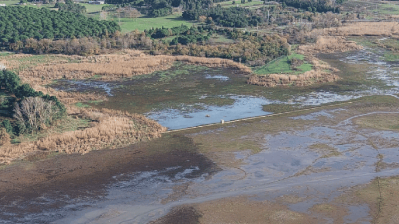 Foto - İstanbul’da kış sessiz geçiyor! Barajlarda kırmızı alarm