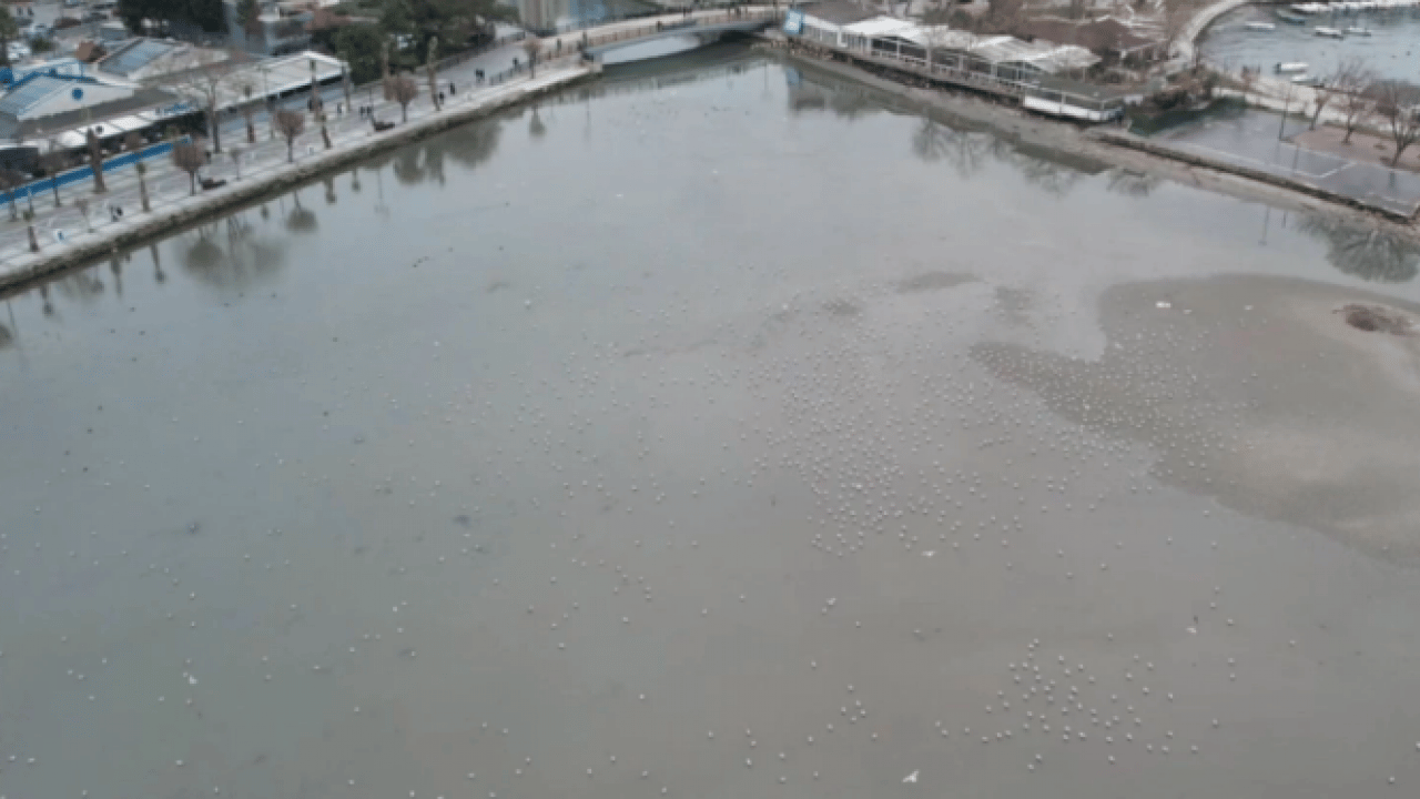 Foto - İstanbul’da korkutan manzara! Deniz metrelerce geri çekildi