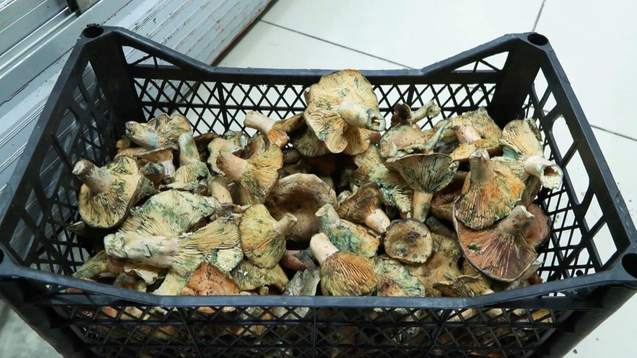 Foto - İstanbul’da korkutan zehirlenme dalgası: Bir ayda 60 kişi hastanelik oldu