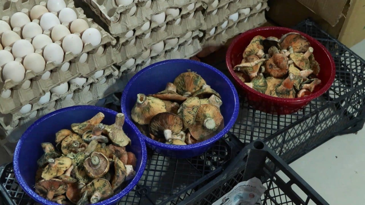 Foto - İstanbul’da korkutan zehirlenme dalgası: Bir ayda 60 kişi hastanelik oldu