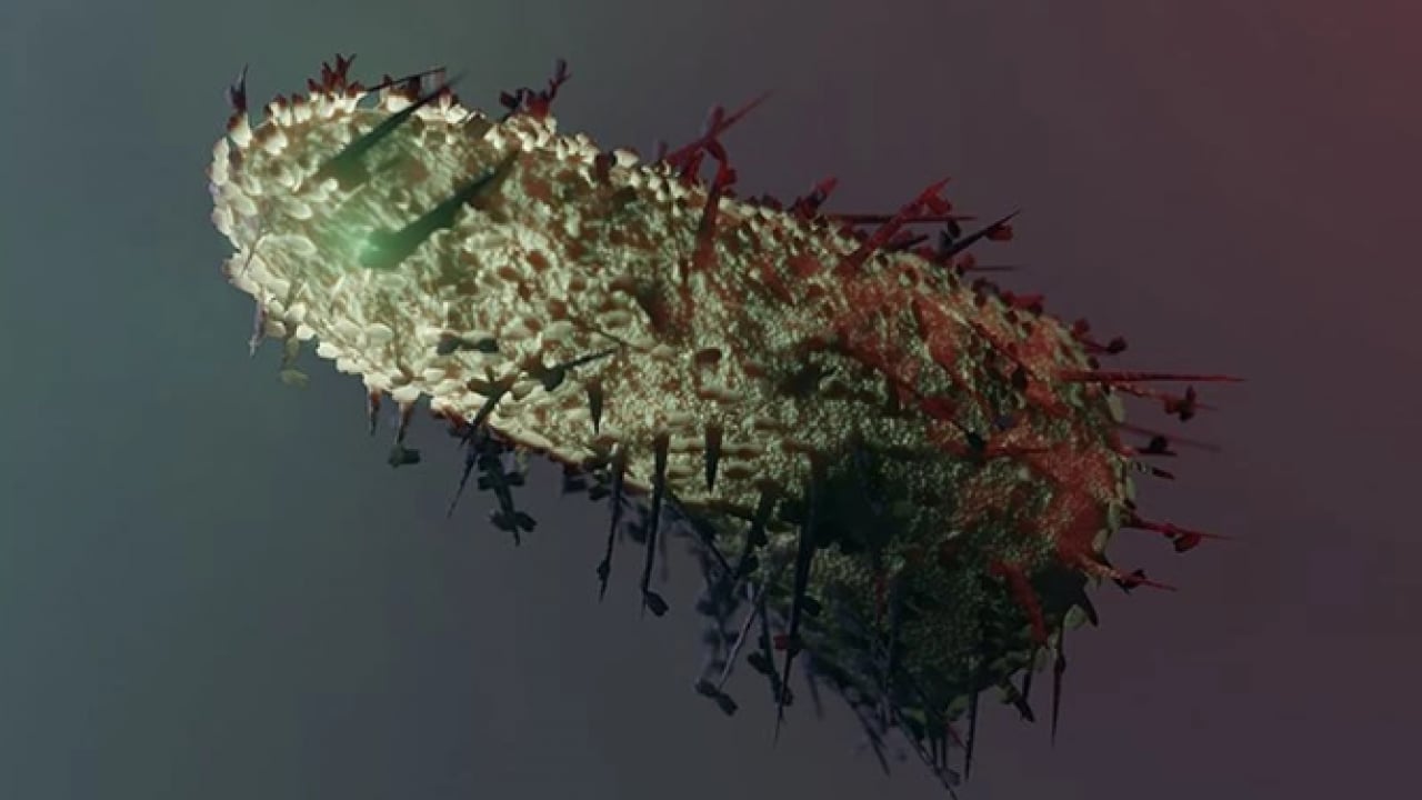 Foto - İstanbul’da kuduz alarmı! En fazla vakanın görüldüğü ilçeler belli oldu