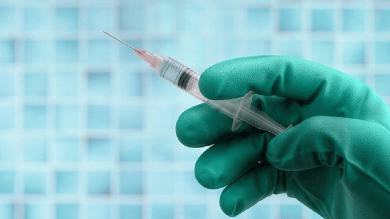 Foto - İstanbul’da kuduz alarmı! En fazla vakanın görüldüğü ilçeler belli oldu