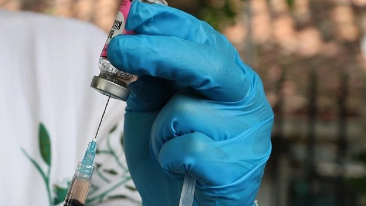 Foto - İstanbul’da kuduz alarmı! En fazla vakanın görüldüğü ilçeler belli oldu