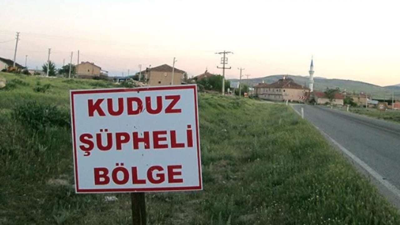 Foto - İstanbul’da kuduz alarmı! En fazla vakanın görüldüğü ilçeler belli oldu