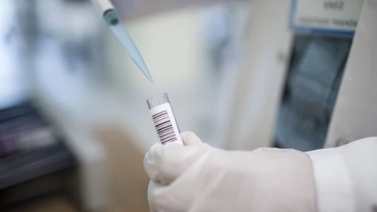 Foto - İstanbul’da kuduz alarmı! En fazla vakanın görüldüğü ilçeler belli oldu