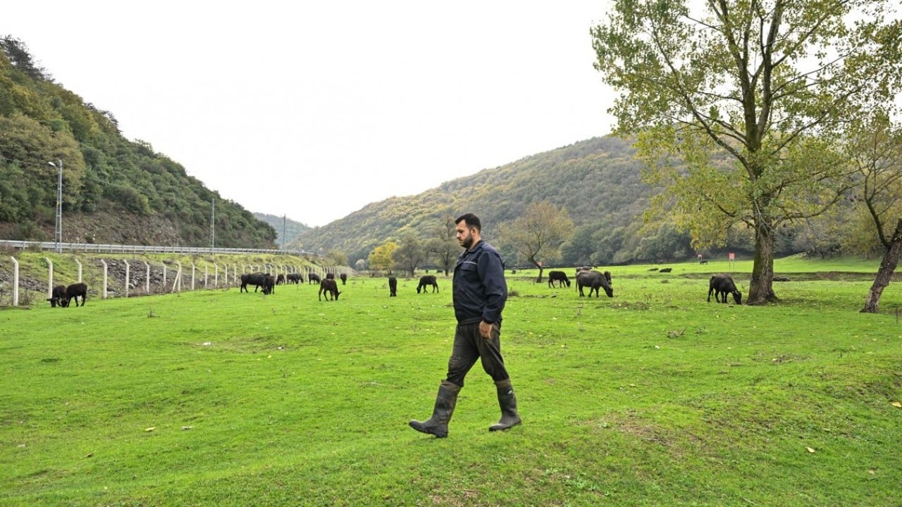 Foto - İstanbul'da organik yaşam! Stresten uzak köy hayatı yaşıyorlar