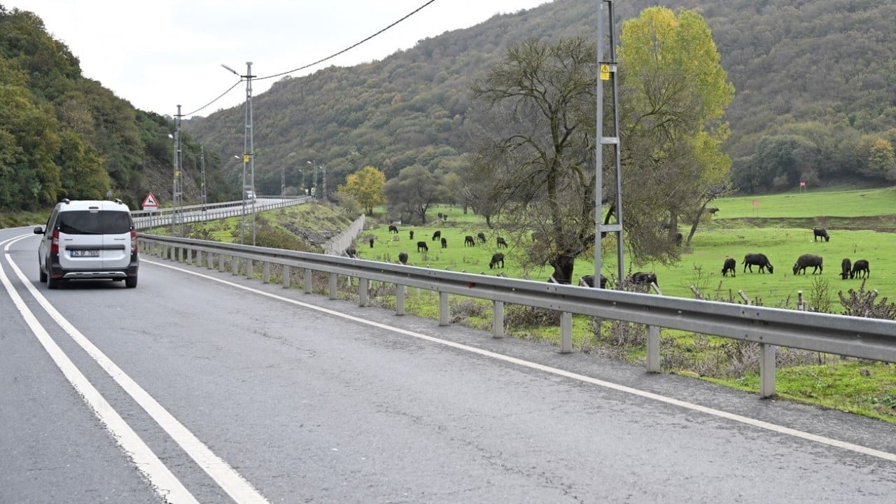 Foto - İstanbul'da organik yaşam! Stresten uzak köy hayatı yaşıyorlar