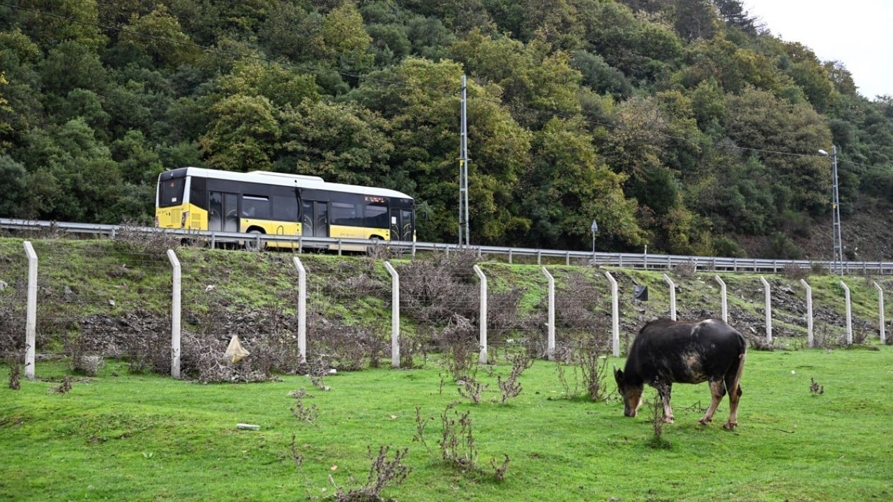 Foto - İstanbul'da organik yaşam! Stresten uzak köy hayatı yaşıyorlar