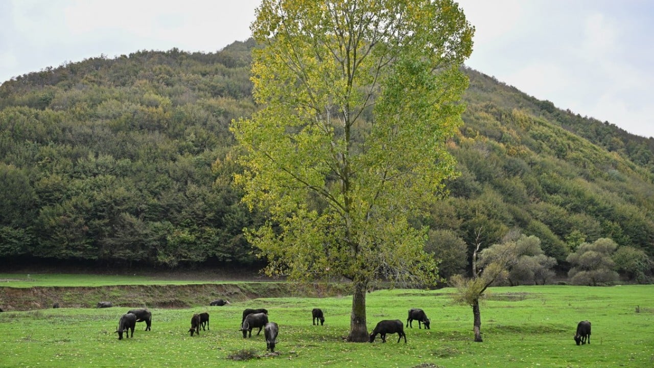 Foto - İstanbul'da organik yaşam! Stresten uzak köy hayatı yaşıyorlar
