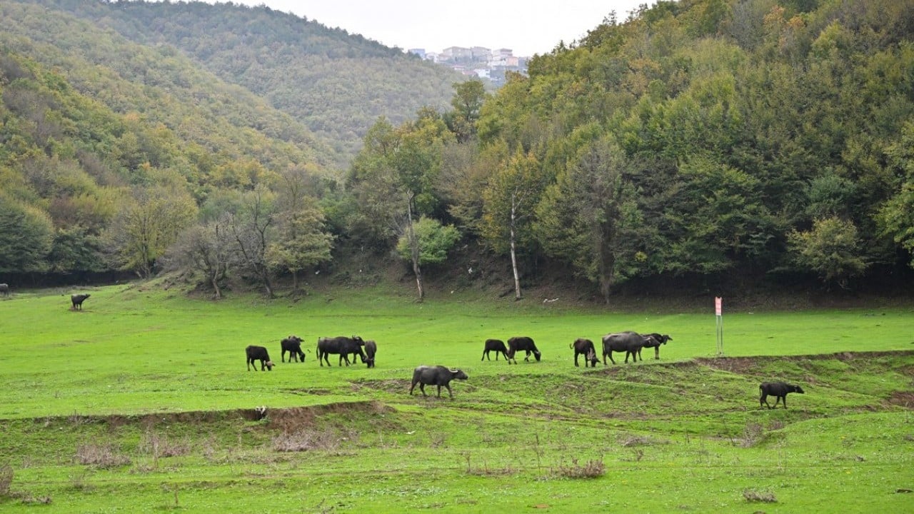 İstanbul'da organik yaşam! Stresten uzak köy hayatı yaşıyorlar
