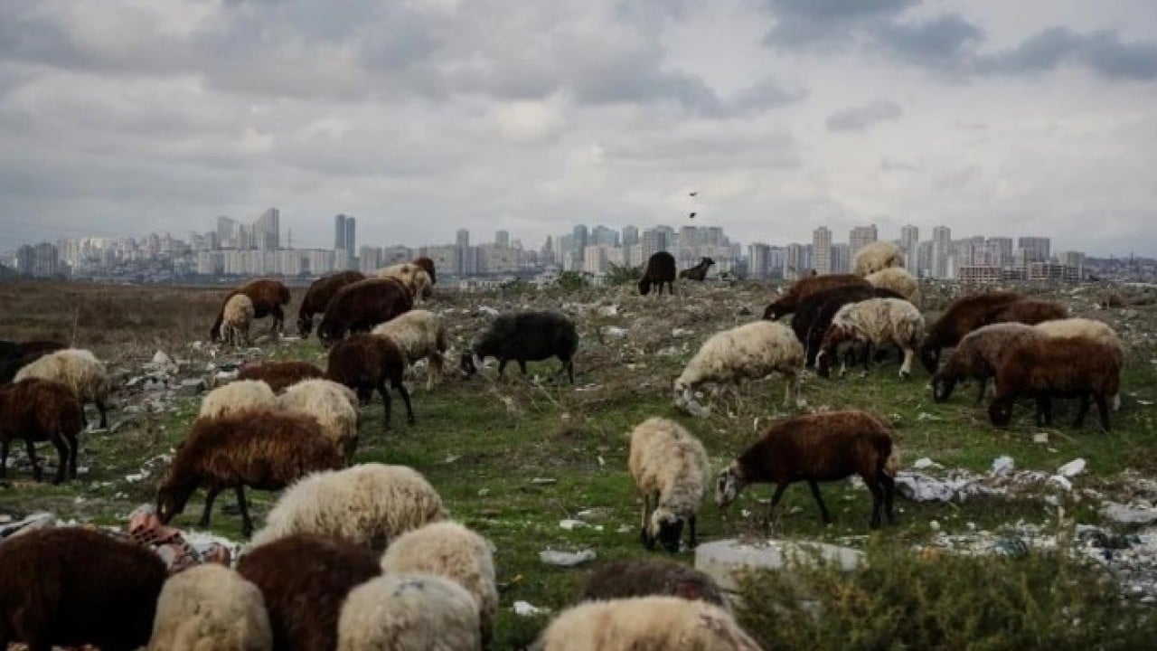 Foto - İstanbul’da panikleten görüntü! Dere simsiyah oldu