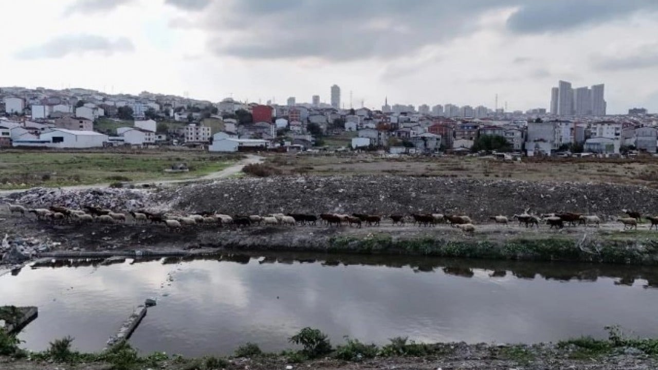 Foto - İstanbul’da panikleten görüntü! Dere simsiyah oldu
