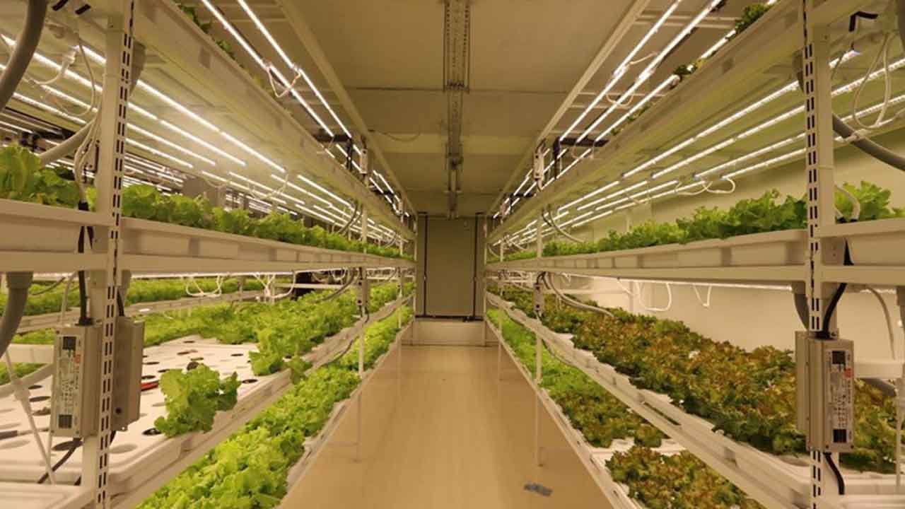 Foto - İstanbul’da yerin 30 metre altına gizli dev üretim üssü: Yılın 365 günü durmaksızın çalışacak