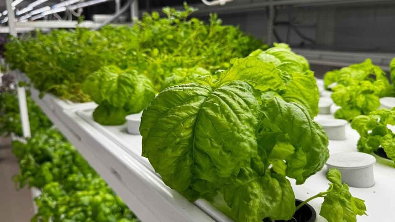 Foto - İstanbul’da yerin 30 metre altına gizli dev üretim üssü: Yılın 365 günü durmaksızın çalışacak