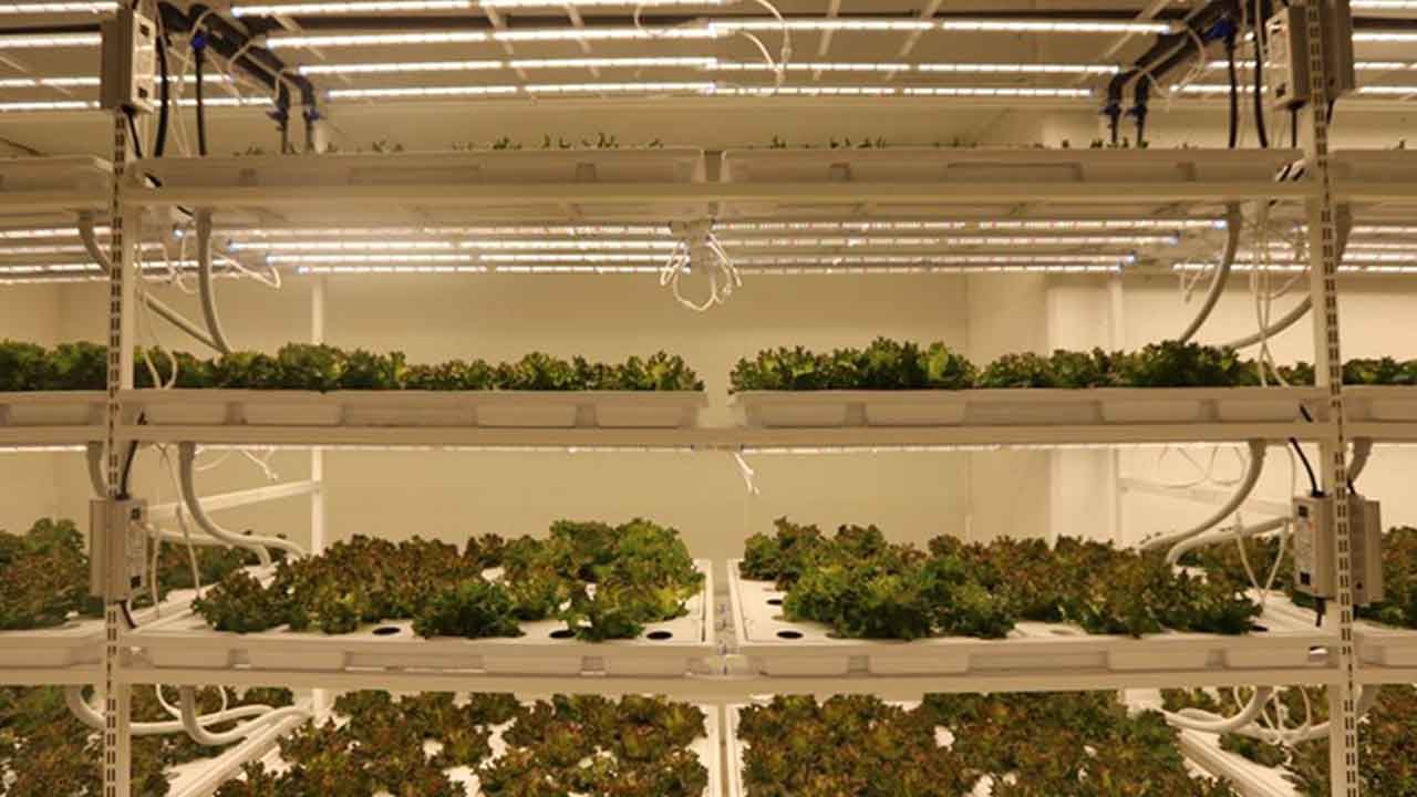 Foto - İstanbul’da yerin 30 metre altına gizli dev üretim üssü: Yılın 365 günü durmaksızın çalışacak