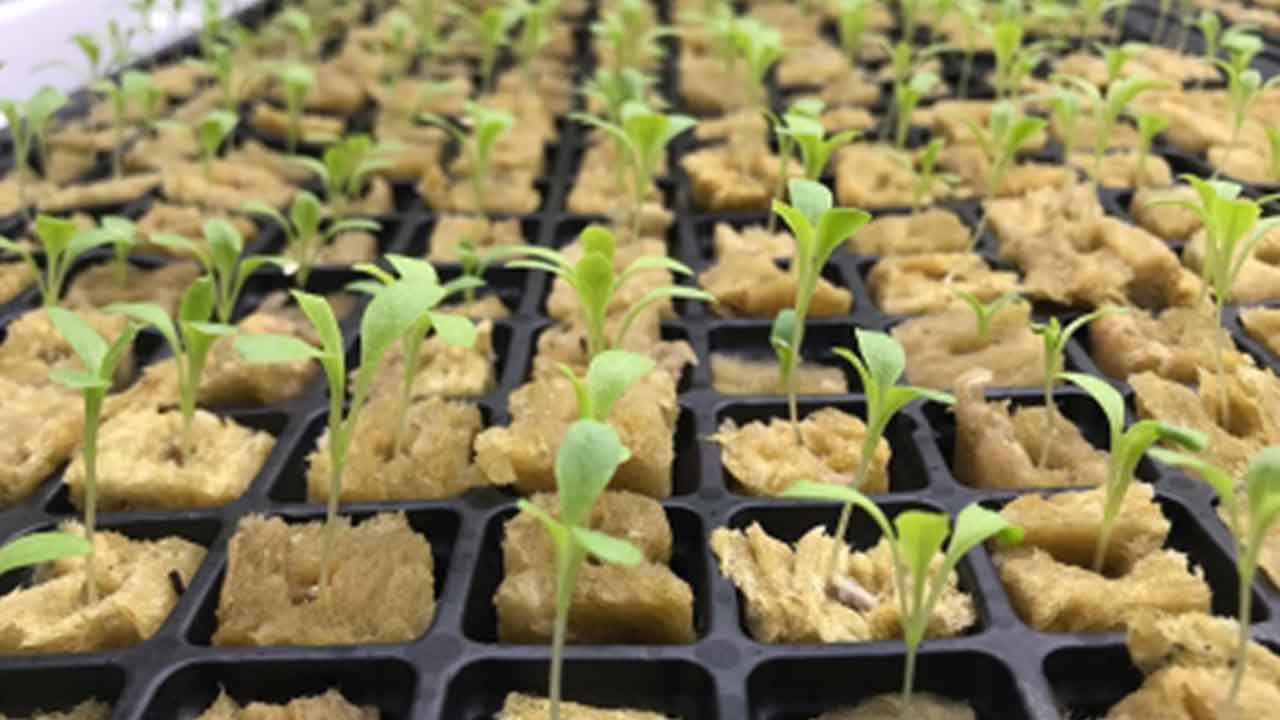 Foto - İstanbul’da yerin 30 metre altına gizli dev üretim üssü: Yılın 365 günü durmaksızın çalışacak