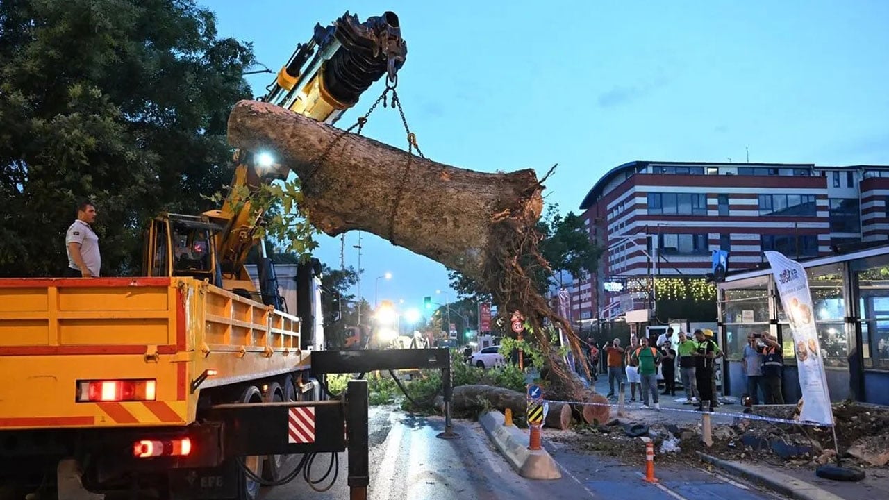 Foto - İstanbul'dan fırtına geçti: Ağaçlar devrildi, çatılar uçtu, uçaklar inemedi
