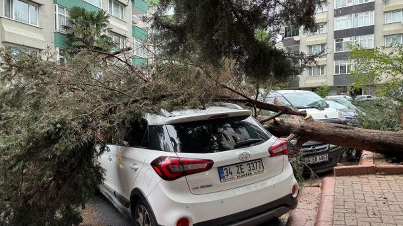 Foto - İstanbul'dan fırtına geçti: Ağaçlar devrildi, çatılar uçtu, uçaklar inemedi