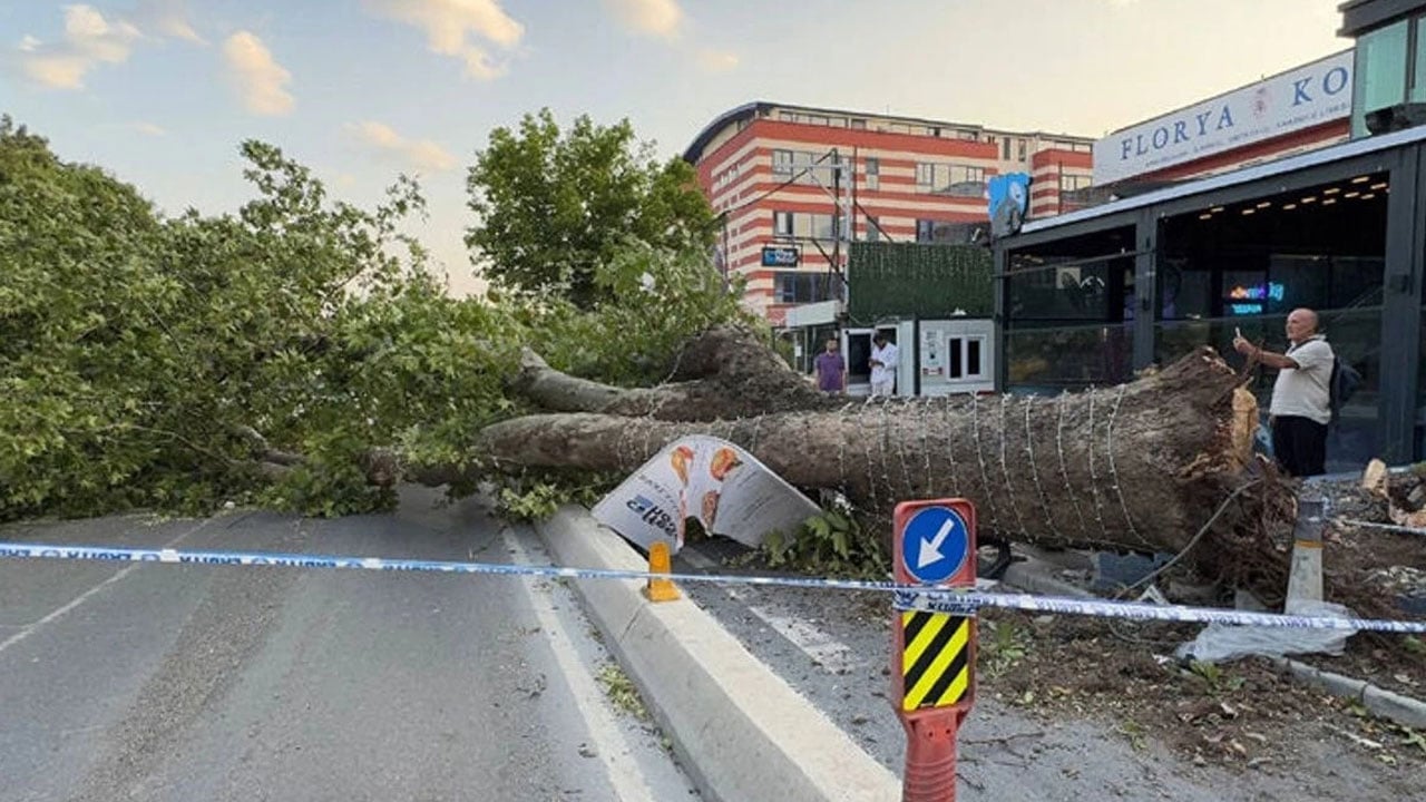 Foto - İstanbul'dan fırtına geçti: Ağaçlar devrildi, çatılar uçtu, uçaklar inemedi