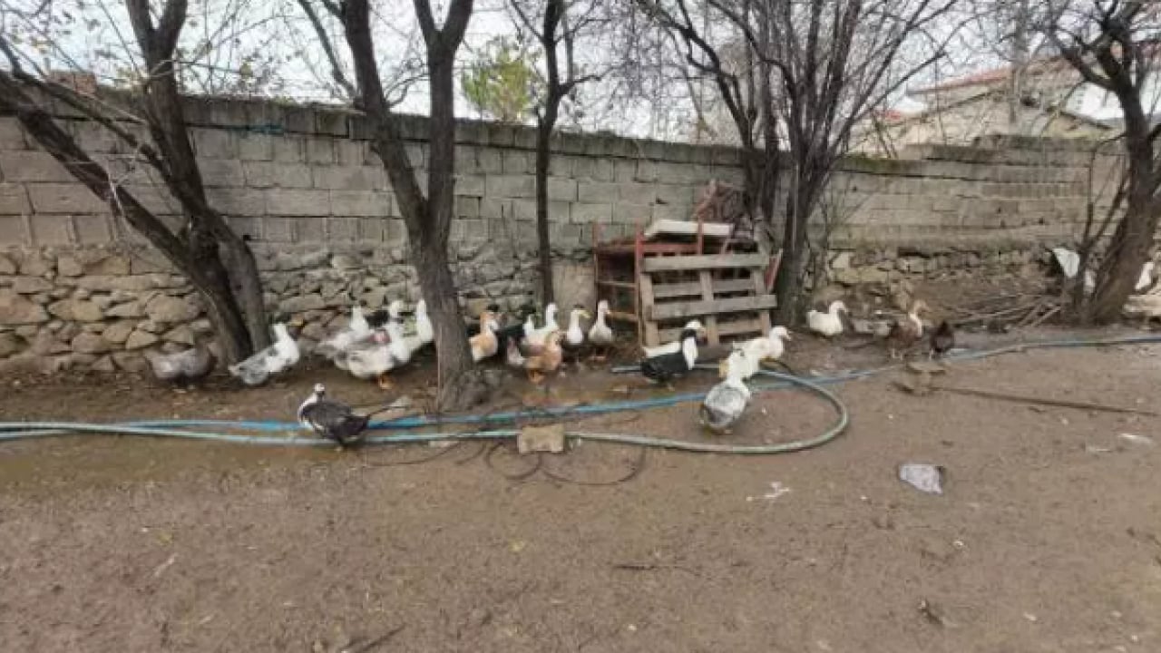 Foto - Verdiği karar hayatını değiştirdi:Şimdi paraya para demiyor!