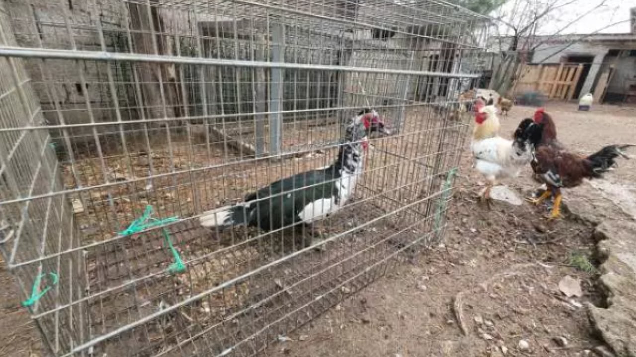 Foto - Verdiği karar hayatını değiştirdi:Şimdi paraya para demiyor!