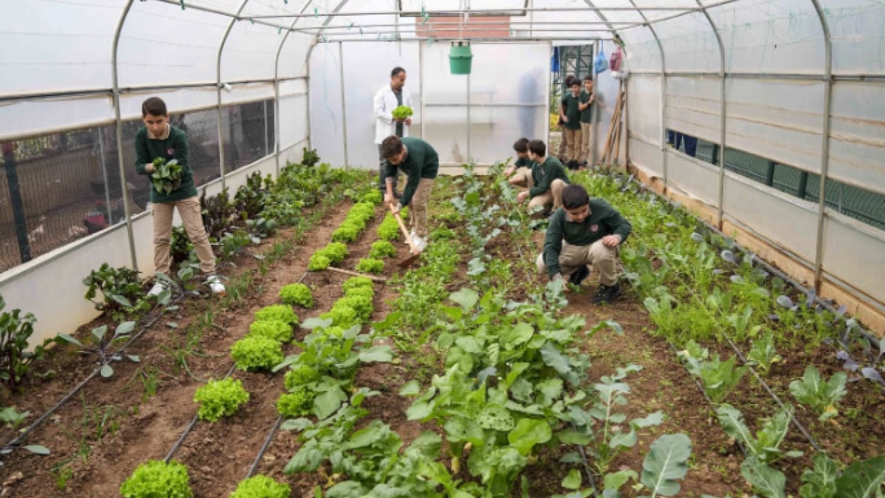 Foto - İstanbul’un göbeğinde şaşırtan manzara! Okul bahçesi çiftliğe döndü