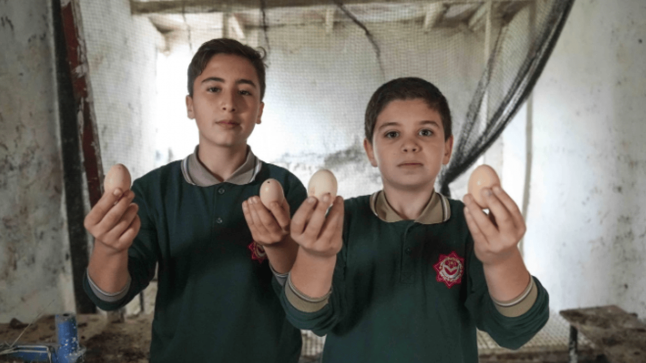 Foto - İstanbul’un göbeğinde şaşırtan manzara! Okul bahçesi çiftliğe döndü