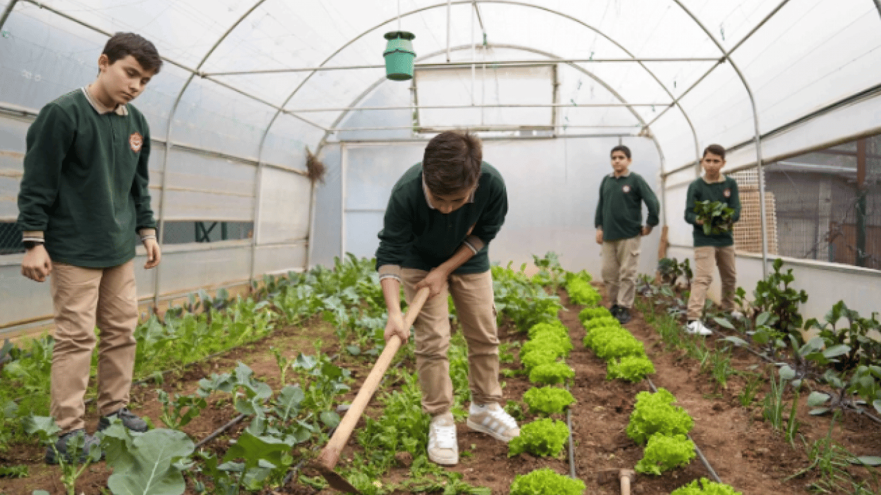 Foto - İstanbul’un göbeğinde şaşırtan manzara! Okul bahçesi çiftliğe döndü