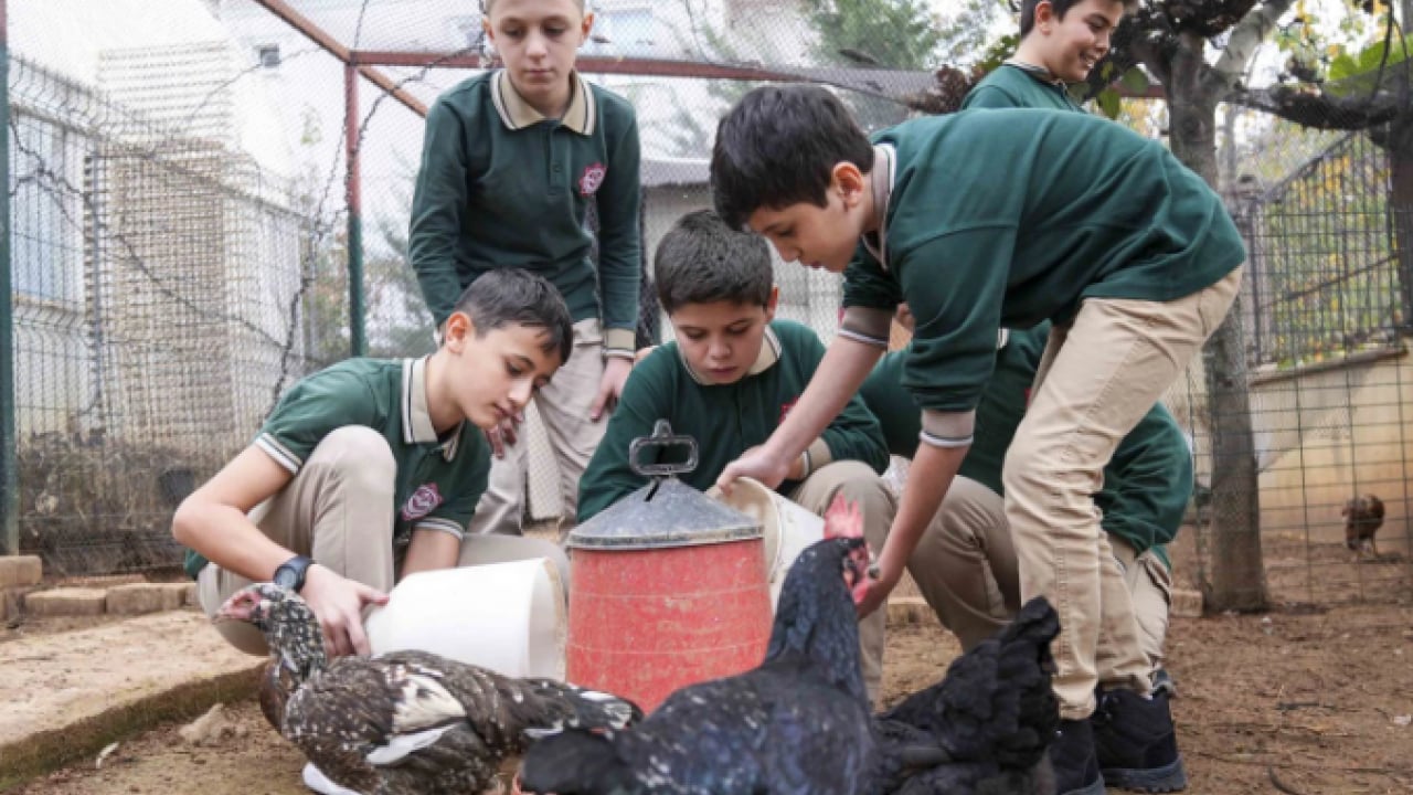 Foto - İstanbul’un göbeğinde şaşırtan manzara! Okul bahçesi çiftliğe döndü