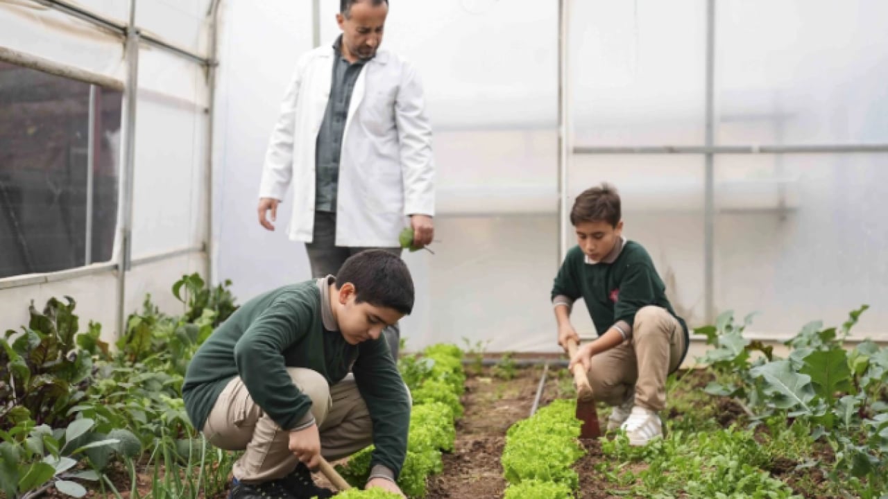 Foto - İstanbul’un göbeğinde şaşırtan manzara! Okul bahçesi çiftliğe döndü