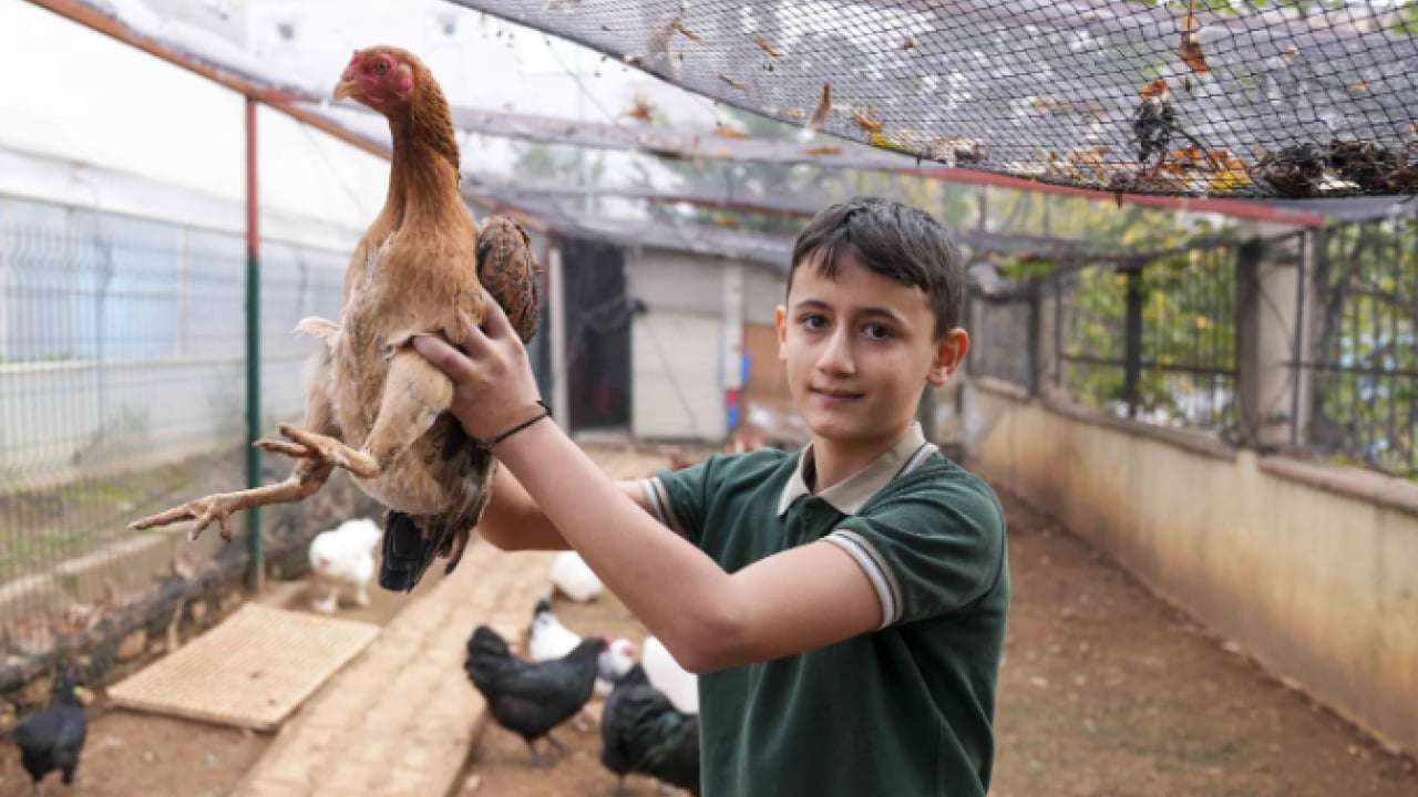 Foto - İstanbul’un göbeğinde şaşırtan manzara! Okul bahçesi çiftliğe döndü