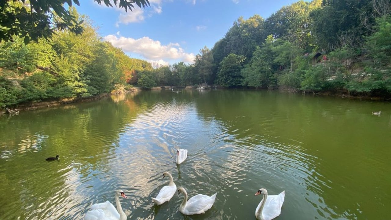 Foto - İstanbul’un ortasında Avrupa köyü! Her şey iki alay askerin gelişiyle başladı