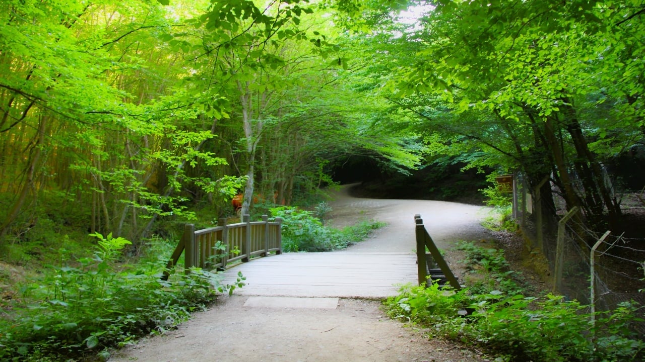 Foto - İstanbul’un ortasında Avrupa köyü! Her şey iki alay askerin gelişiyle başladı