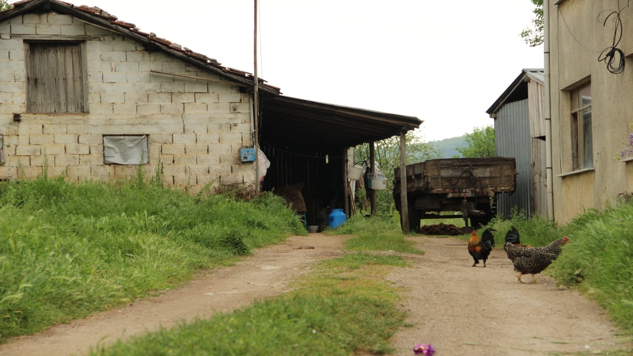 Foto - İstanbul’un ortasında Avrupa köyü! Her şey iki alay askerin gelişiyle başladı