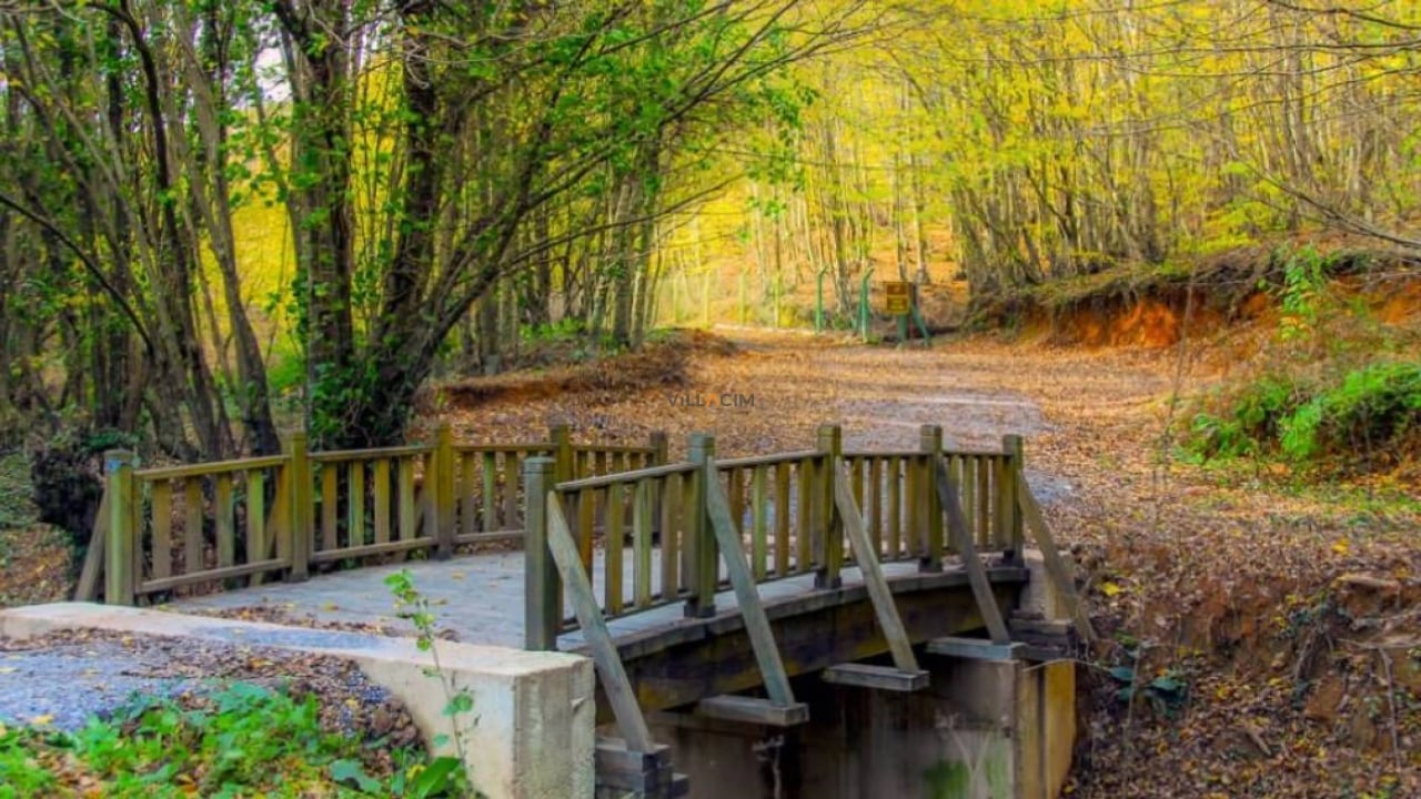 Foto - İstanbul’un ortasında Avrupa köyü! Her şey iki alay askerin gelişiyle başladı