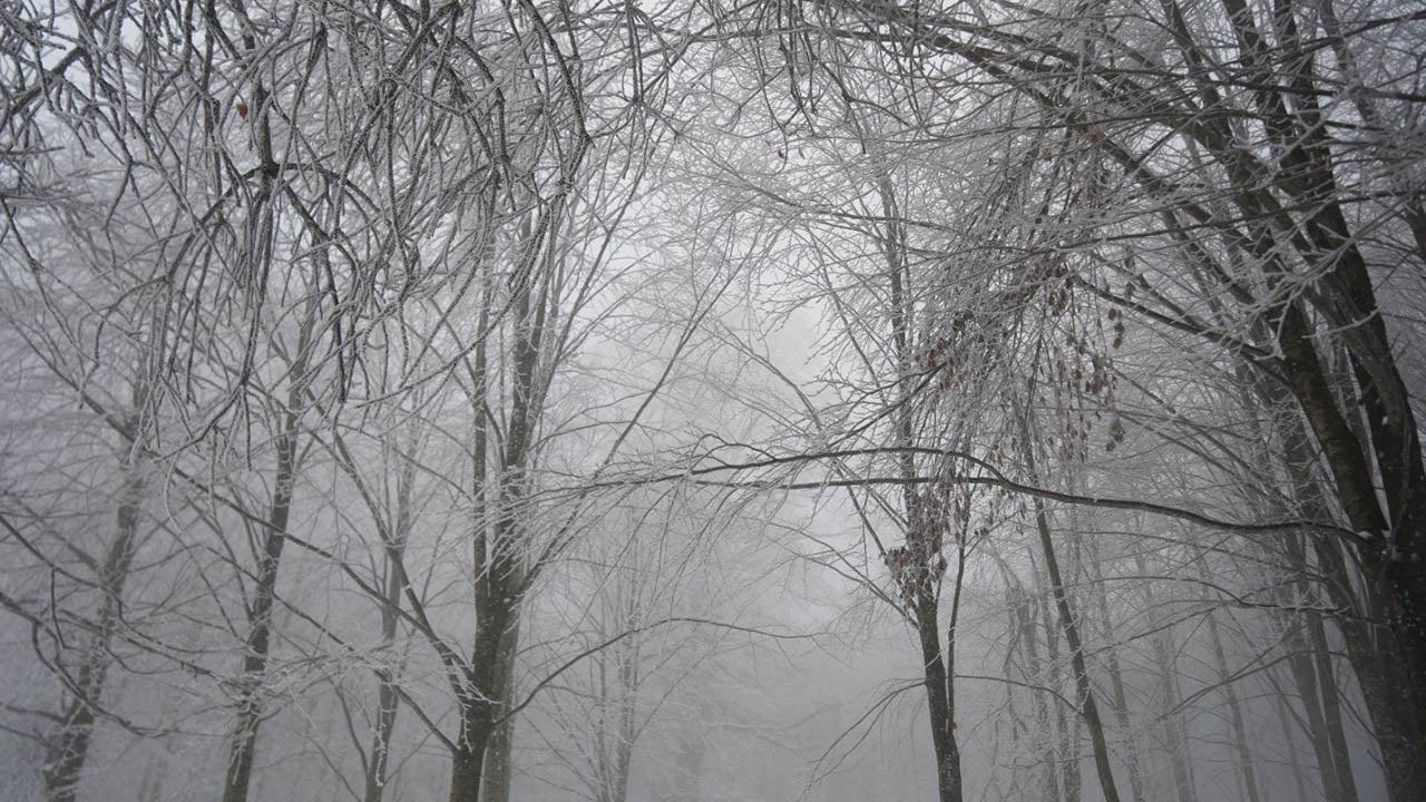 Foto - İstanbul'un yanı başında kar kalınlığı 10 cm oldu