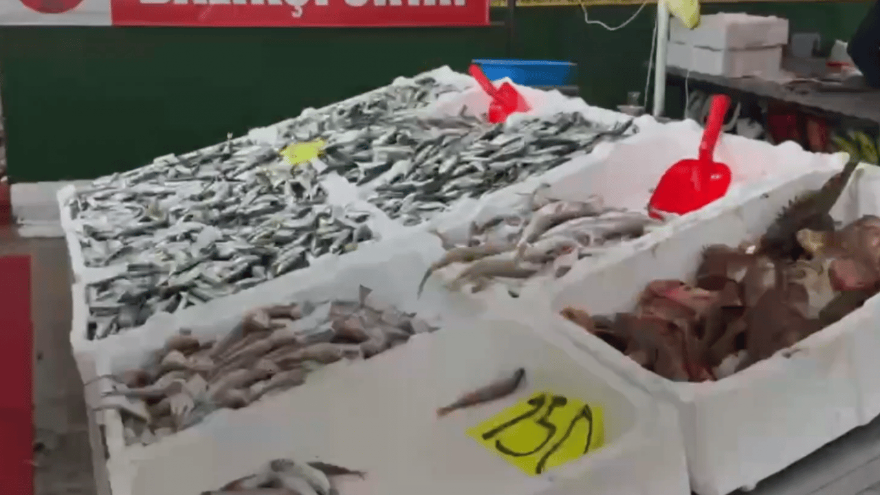 Foto - İstavrit fiyatını görenler tezgaha koştu! 