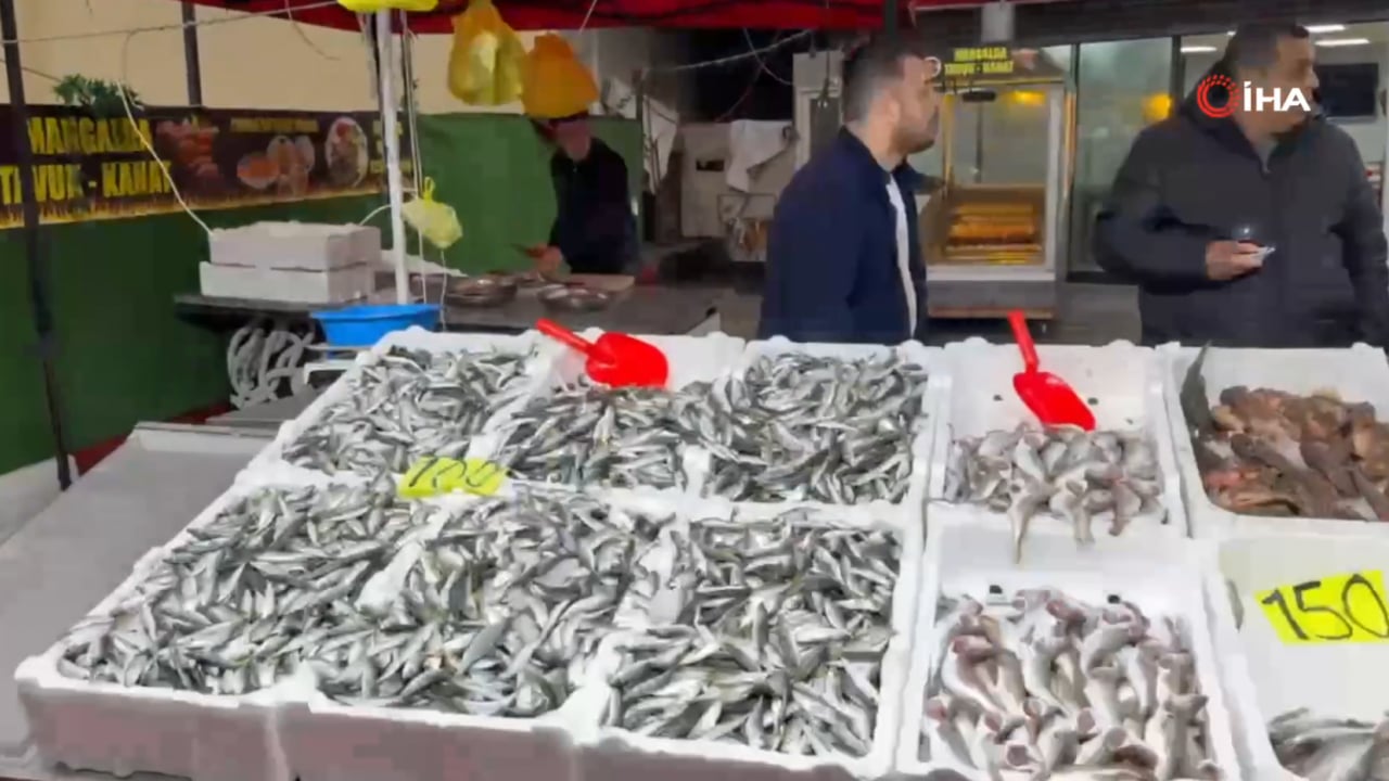 İstavrit fiyatını görenler tezgaha koştu! 