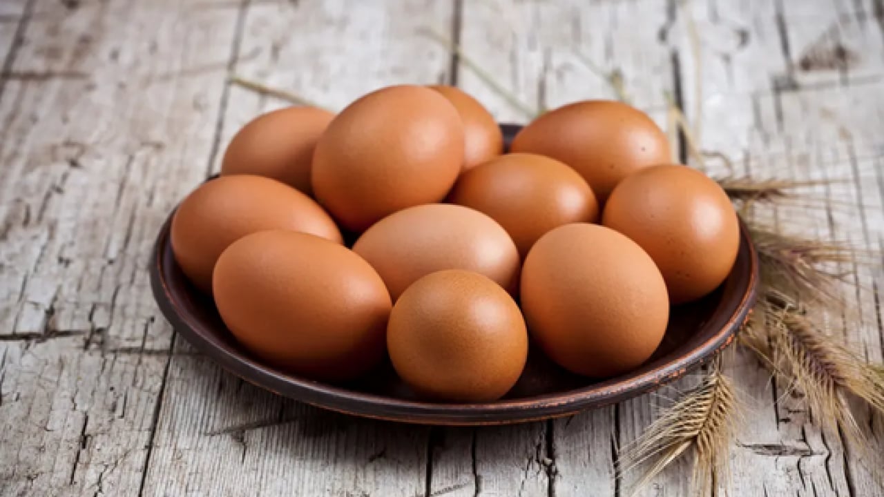 Foto - İşte B12 eksikliğini unutturacak 6 süper besin: Hafızanızı çelik gibi yapıyor...