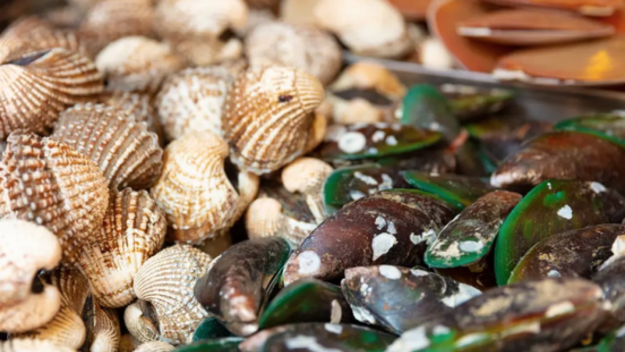 Foto - İşte B12 eksikliğini unutturacak 6 süper besin: Hafızanızı çelik gibi yapıyor...