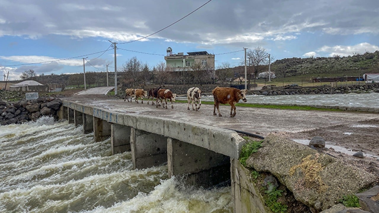 Foto - İşte barajlardaki son doluluk oranları Türkiye'ye bereket yağdı