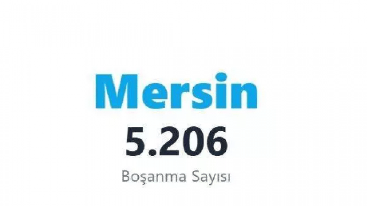 Foto - İşte boşanmanın en çok olduğu 10 il! Zirvedeki il şaşırtmadı!