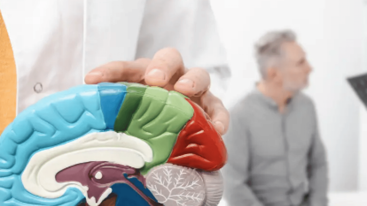 Foto - İşte bu hiç beklenmiyordu: Duygusal hafıza direniyor: Alzheimer'da ribot kanunu